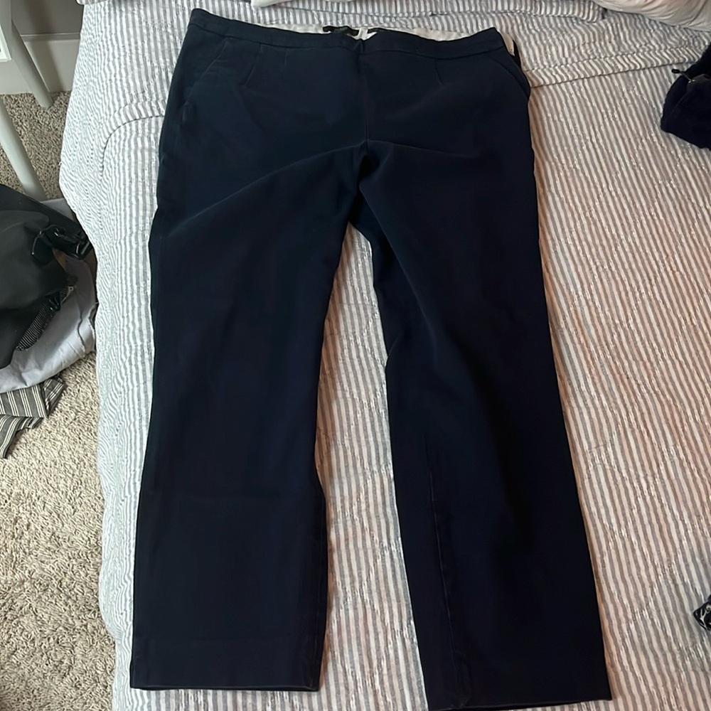 JCrew Martie pants